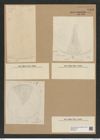Coscinodiscus robustus Grev. (de-Toni-Nr.: Genus 202, Species 4967) Zeichnungen Sammlung Grunow Nr. 8568 (NHMW-BOT-W0378214)